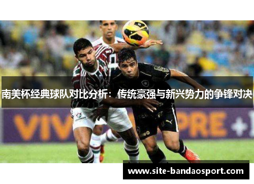 南美杯经典球队对比分析：传统豪强与新兴势力的争锋对决