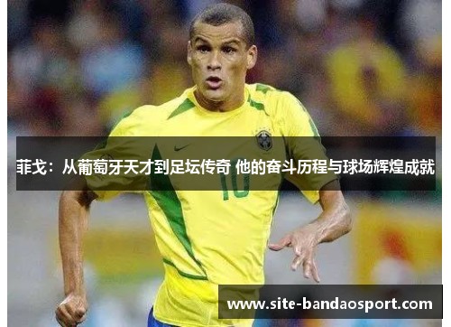 菲戈：从葡萄牙天才到足坛传奇 他的奋斗历程与球场辉煌成就