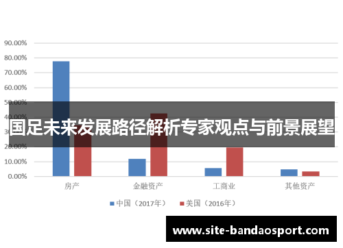 国足未来发展路径解析专家观点与前景展望