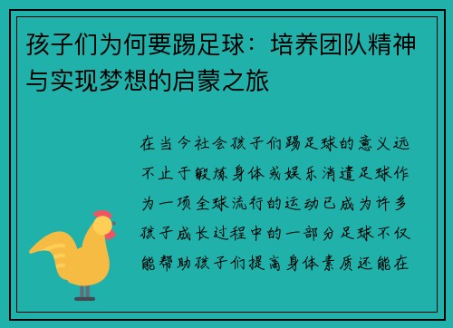 孩子们为何要踢足球：培养团队精神与实现梦想的启蒙之旅