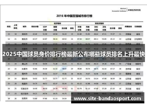 2025中国球员身价排行榜最新公布哪些球员排名上升最快