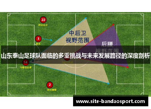 山东泰山足球队面临的多重挑战与未来发展路径的深度剖析