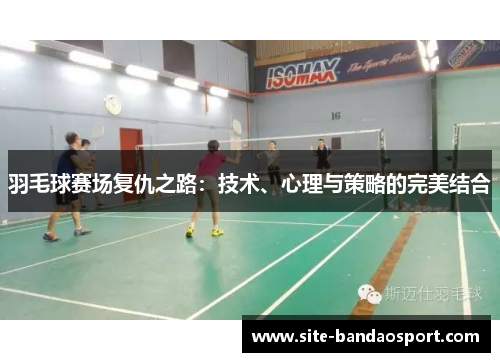 羽毛球赛场复仇之路：技术、心理与策略的完美结合
