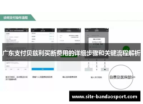 广东支付贝兹利买断费用的详细步骤和关键流程解析