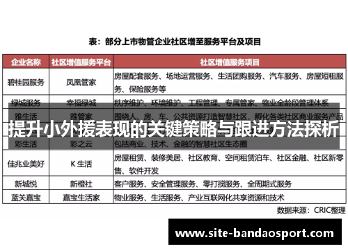 提升小外援表现的关键策略与跟进方法探析