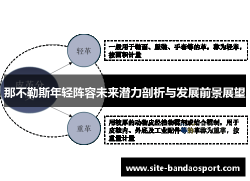 那不勒斯年轻阵容未来潜力剖析与发展前景展望