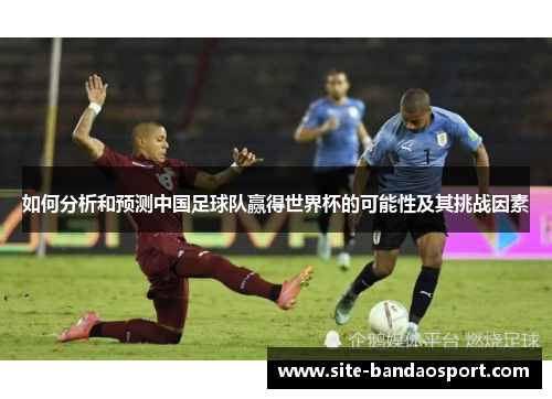 如何分析和预测中国足球队赢得世界杯的可能性及其挑战因素