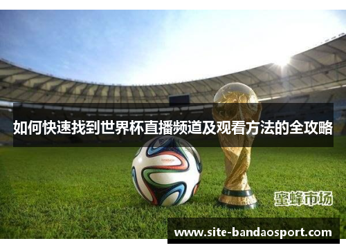 如何快速找到世界杯直播频道及观看方法的全攻略
