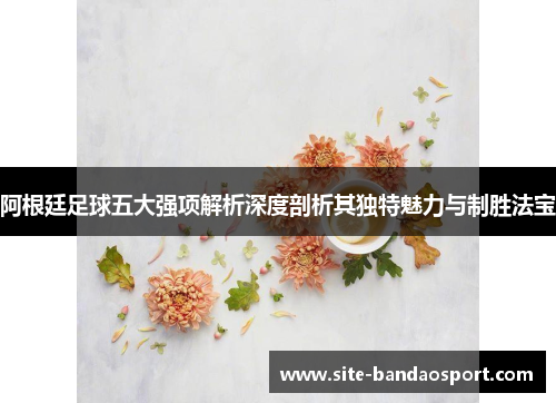 阿根廷足球五大强项解析深度剖析其独特魅力与制胜法宝