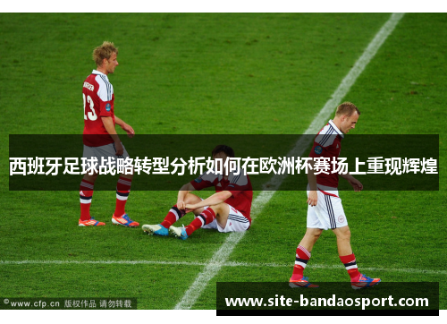 西班牙足球战略转型分析如何在欧洲杯赛场上重现辉煌