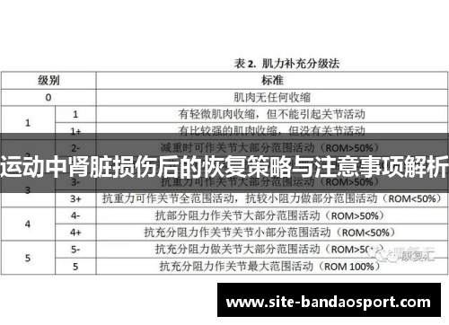 运动中肾脏损伤后的恢复策略与注意事项解析