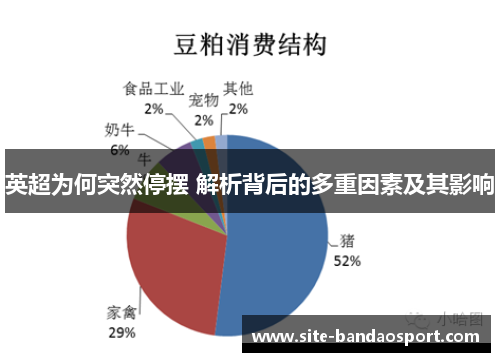 英超为何突然停摆 解析背后的多重因素及其影响
