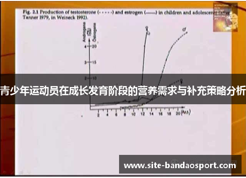 青少年运动员在成长发育阶段的营养需求与补充策略分析