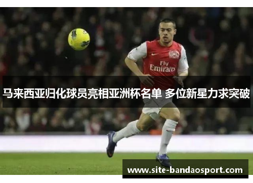 马来西亚归化球员亮相亚洲杯名单 多位新星力求突破